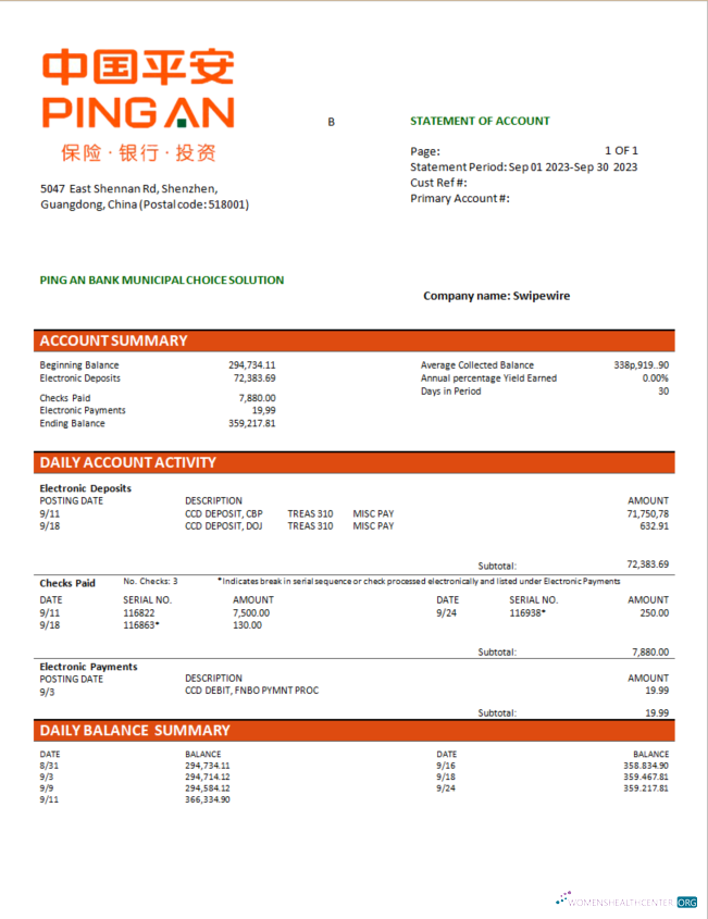 Download Ping An Bank firm checking account statement Word and PDF template Photoshop template